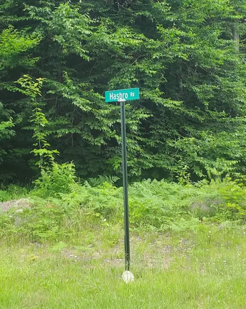 lot20 Hasbro Rd, Millinocket, ME 04462