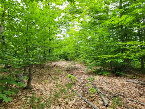 lot Apt 8 Thurston Rd, Brownfield, ME 04010