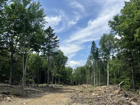 41 Taylor Farm Road, Rangeley, ME 04970 photo 3