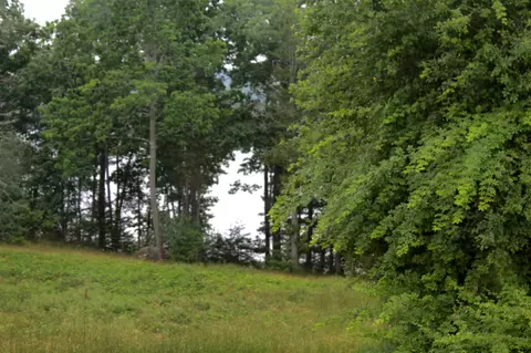 View/Area - Undisclosed, Orland, ME 04472 photo 1 of 3