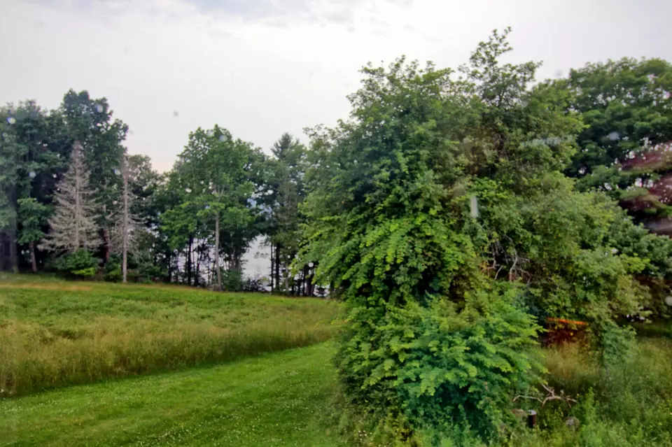 View/Area - Undisclosed, Orland, ME 04472 photo 2 of 3