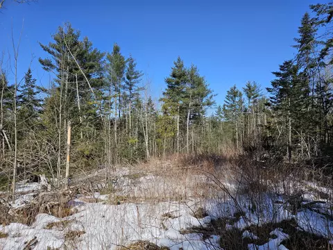 lot29 3 Basford Rd, Detroit, ME 04929