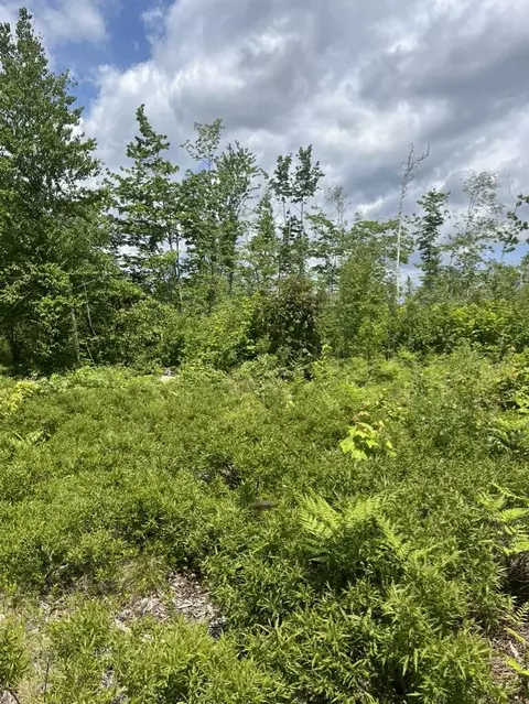 M4l20 Hardwood Ridge Road, Deblois, ME 04622