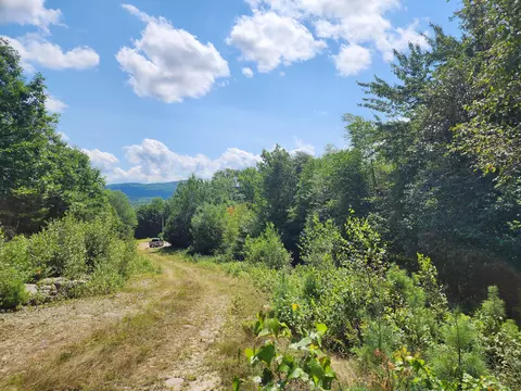 0 Estes Rd, Sumner, ME 04292