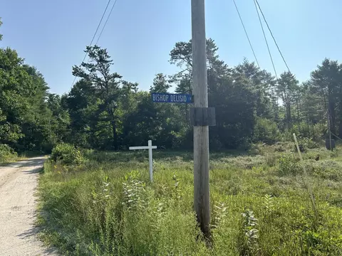 3 Bishop Delisio Ln, Baldwin, ME 04024