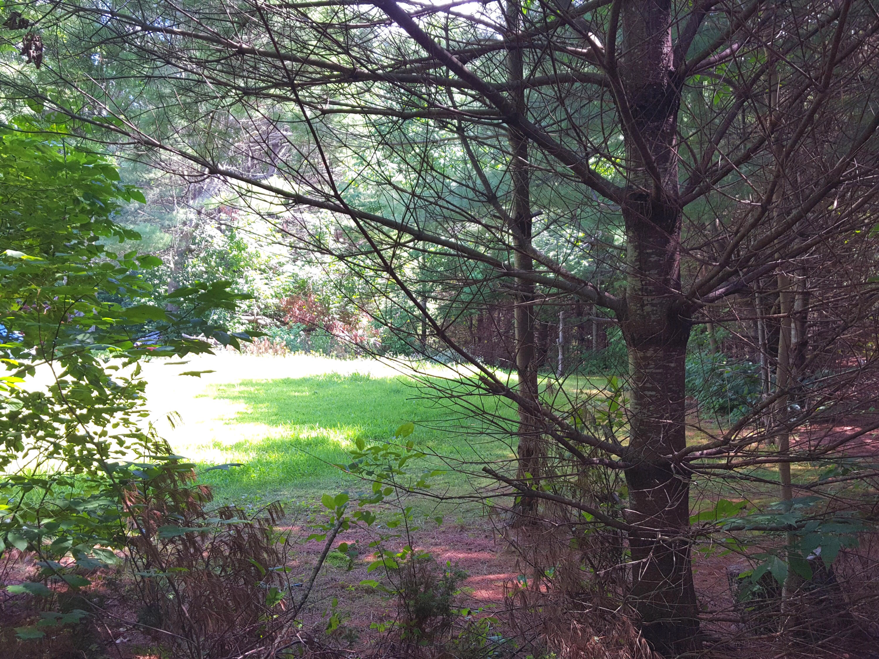 8 Harrison Rd  