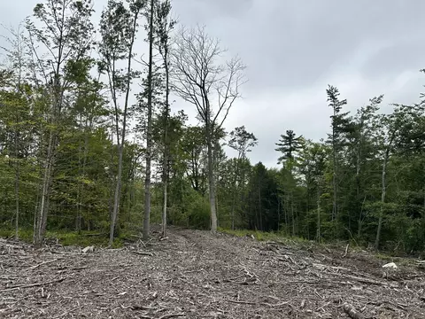 lot00 Maplewood Rd, Parsonsfield, ME 04047