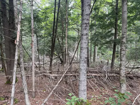 R8 L21d Rand Road, Industry, ME 04938