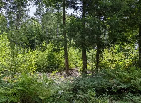 lot08 001 Milton Mills Rd, Acton, ME 04001