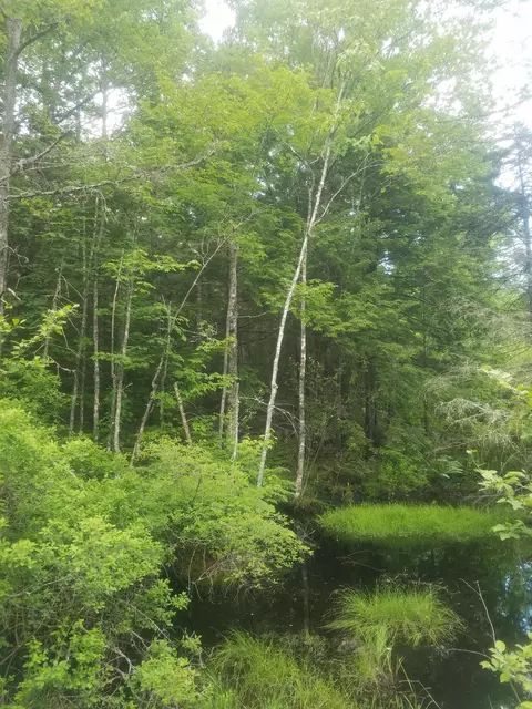 5 Maine 180, Otis, ME 04605