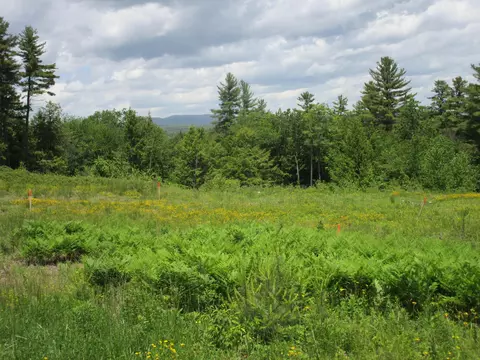 Map7 Lot18 Saunders Road, Mechanic Falls, ME 04256