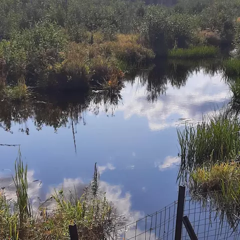 1011 Grindstone Rd Rte 11 Rd, Stacyville, ME 04777