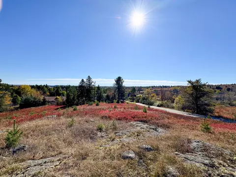 lot48 B Getchell Ln, Marshfield, ME 04654 photo 17