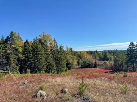 lot48 B Getchell Ln, Marshfield, ME 04654 photo 18