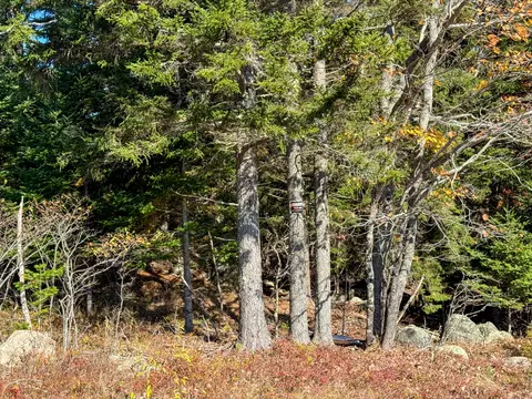 lot48 B Getchell Ln, Marshfield, ME 04654 photo 19