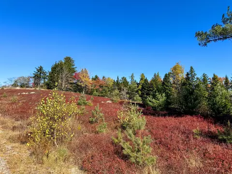 lot48 B Getchell Ln, Marshfield, ME 04654 photo 21