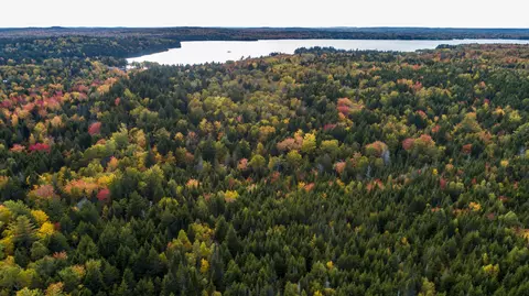 15 Carson Ln # -2, Whiting, ME 04691