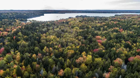 15 Carson Ln # -2, Whiting, ME 04691 photo 8
