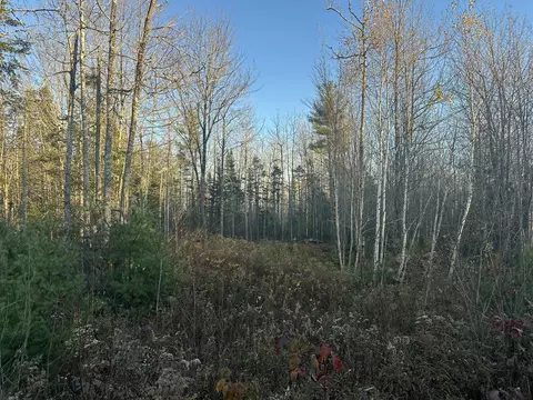 M10 L29a5 Miller Lane, Surry, ME 04684