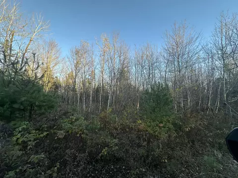 M10 L29a4 Miller Lane, Surry, ME 04684