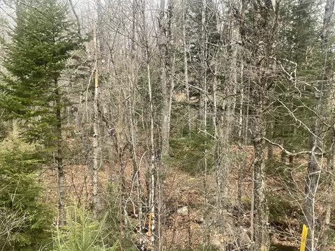 lot22 Roxbury Notch Road Rd, Roxbury, ME 04275