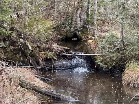 Lot 3 Freedom Way, Prentiss Twp T7 R3 Nbpp, ME 04487