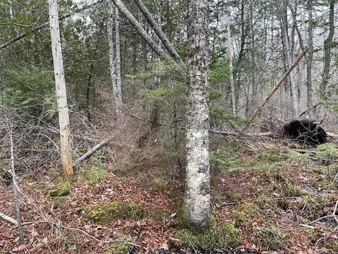225 Priest Rd, Northport, ME 04849
