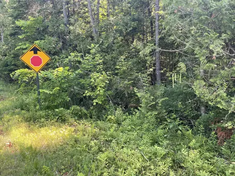 lot15 15 Brann Rd, Levant, ME 04456