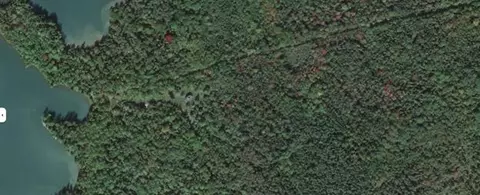 42 S Waterway Rd, Trescott Twp, ME 04652