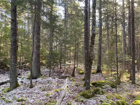 88 Beech Hill Rd # B, Mount Desert, ME 04660