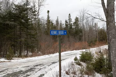 lot8 Kennel Brook Dr, Lamoine, ME 04605