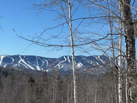 lot23 1 Glades View Ave, Newry, ME 04261