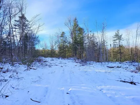 lot62 2 Reeds Mill Rd, Madrid Twp, ME 04966
