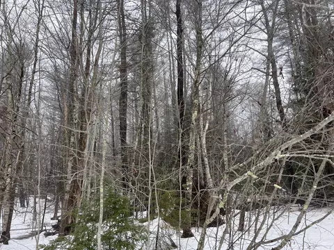 0 Us Route 1, Freeport, ME 04032