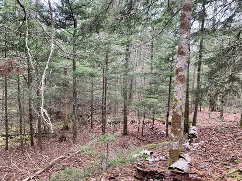 Map11lot31 East River Road, Pembroke, ME 04666