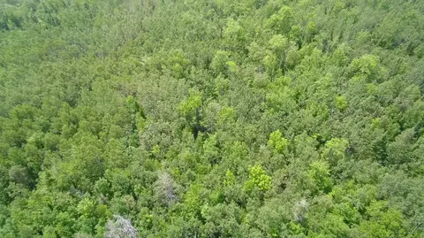 tbd Trafton Rd, Parkman, ME 04443