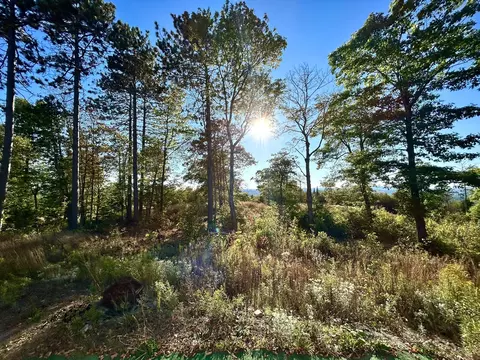 8 Gray Road # 11, Sangerville, ME 04479