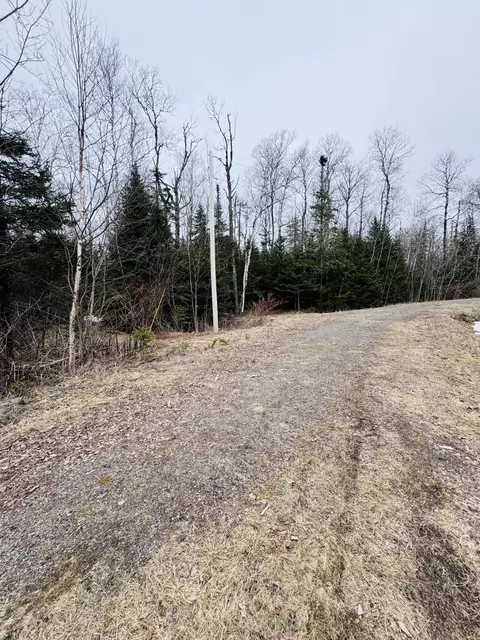 lot11 Errol Haley Way, Rangeley Plt, ME 04970 photo 14