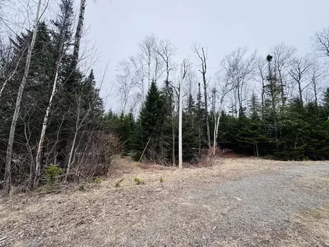 lot11 Errol Haley Way, Rangeley Plt, ME 04970 photo 13