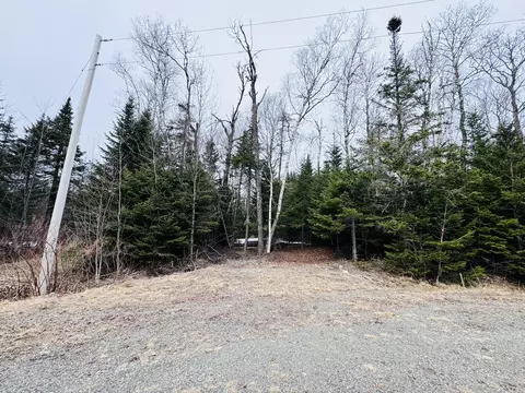 lot11 Errol Haley Way, Rangeley Plt, ME 04970 photo 8