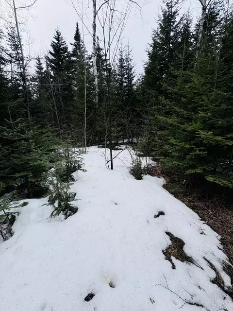 lot11 Errol Haley Way, Rangeley Plt, ME 04970 photo 11