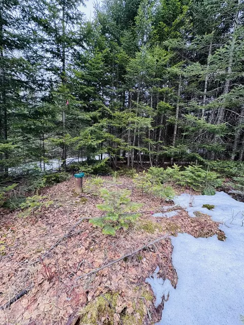 lot11 Errol Haley Way, Rangeley Plt, ME 04970 photo 12