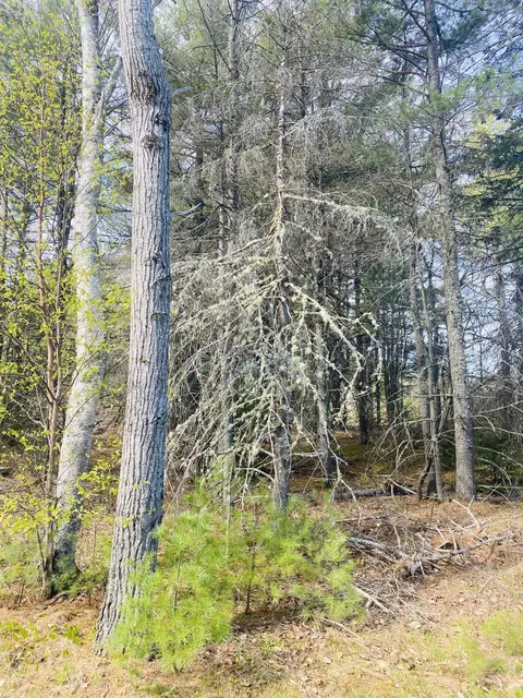 145 Pine Ledge Rd, Bangor, ME 04401 photo 3