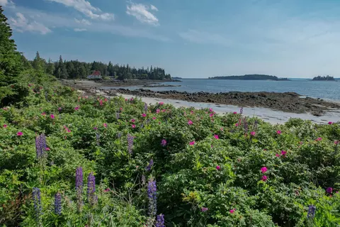 View/Area - 397 Cape Split Rd, Addison, ME 04606 photo 10 of 24