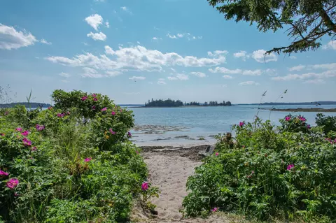 View/Area - 397 Cape Split Rd, Addison, ME 04606 photo 1 of 24
