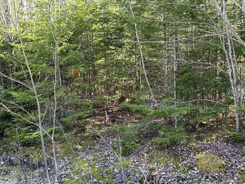 lot14 Merganser Dr, Gouldsboro, ME 04607