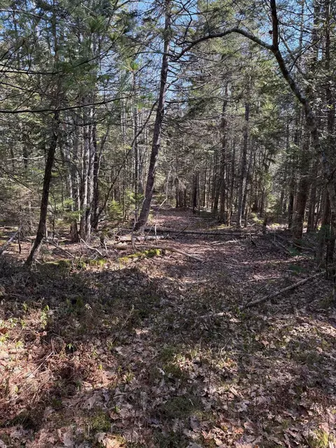 lot48 A Route 1, Gouldsboro, ME 04607