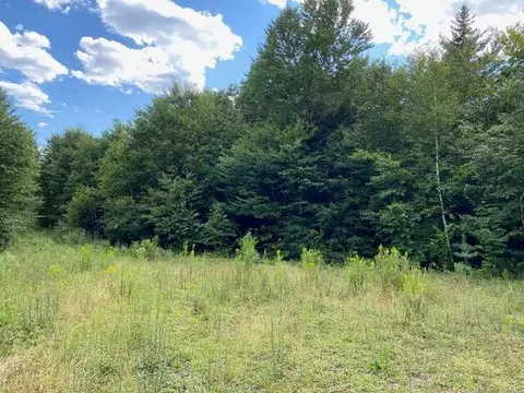 Wa4 Partridge Knoll, Cathance Twp, ME 04628