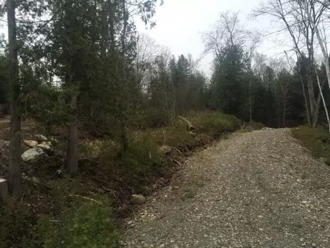 lot S 23 Maple Ridge Rd, Dedham, ME 04429 photo 6