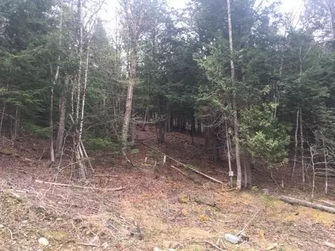 lot S 23 Maple Ridge Rd, Dedham, ME 04429 photo 4